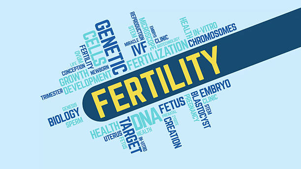 istockphoto 2234999203 612x613